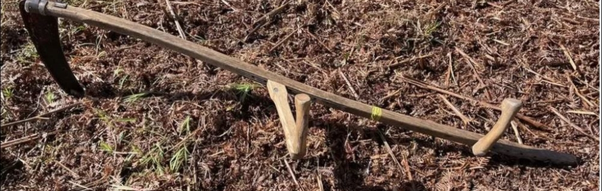 Scything and BBQ at New Ferry Butterfly Park