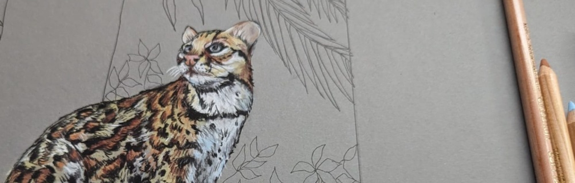Wildlife In Pastel