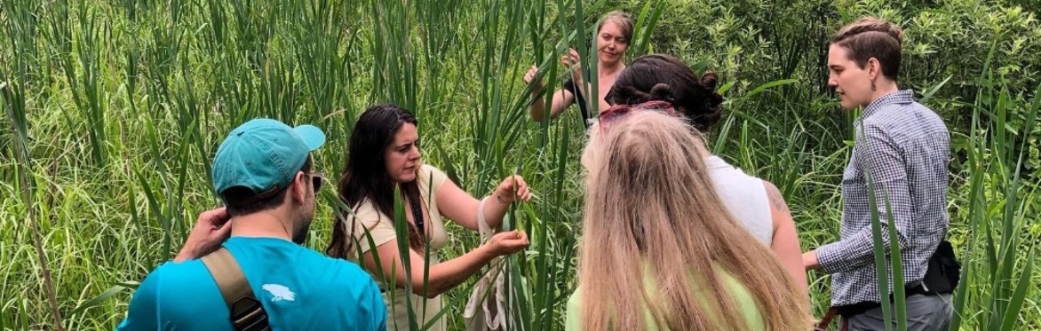 Foraging Class with Rachel Alexandrou