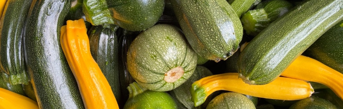 Laurelbank Farm CSA Membership (1st month's trial)
