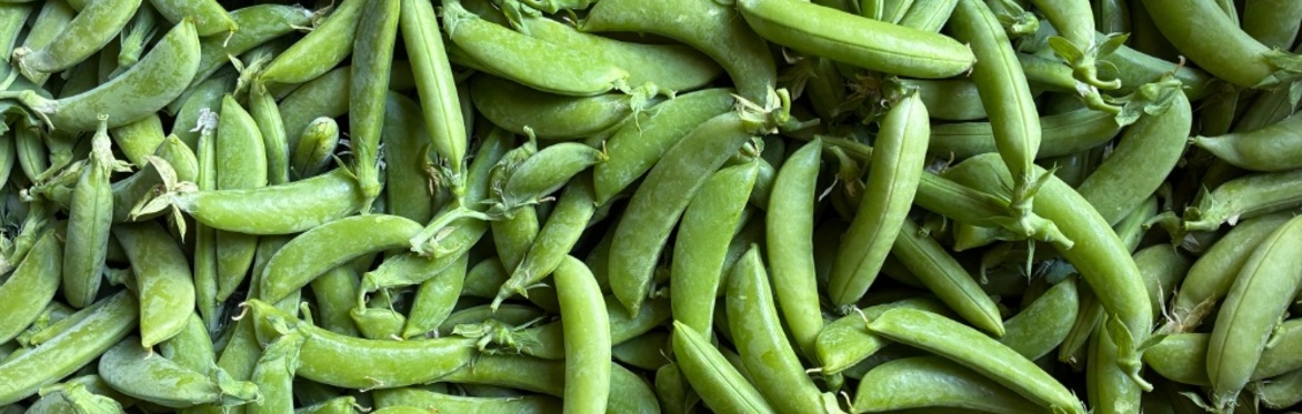 Laurelbank Farm CSA Membership (1st month's trial)