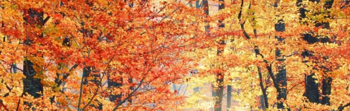 Autumn Equinox Class (studio)