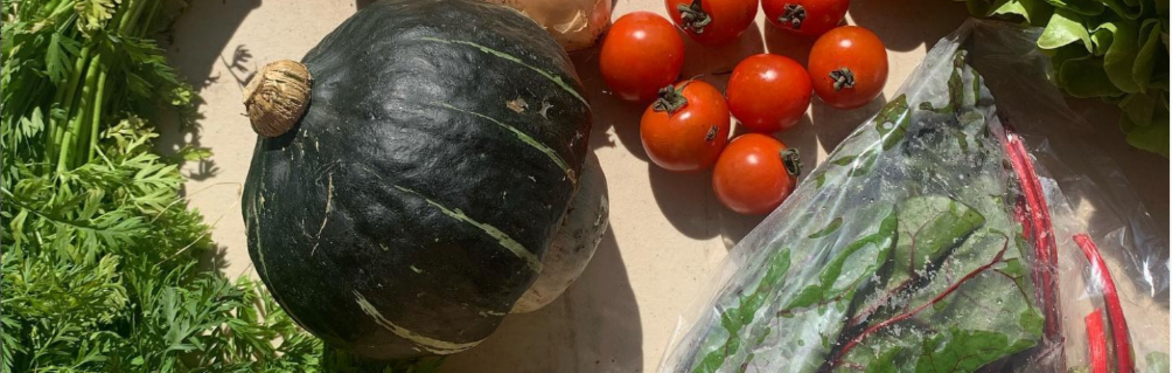 Introduction to Food Growing workshops