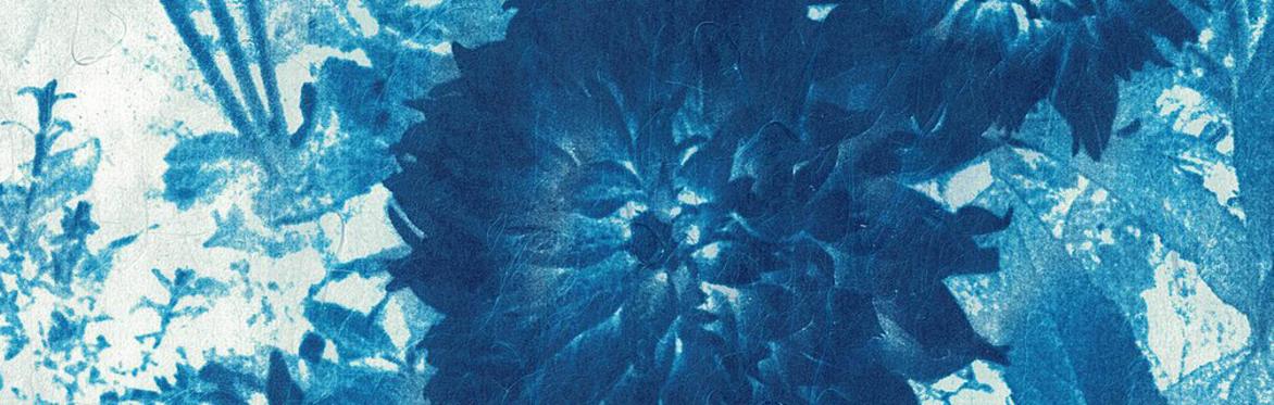 Sun Printing, summer holiday workshop - for young people 7 - 14