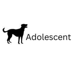 Sunday Adolescent class - start date 30th August 2026 - 10:45am-11:30am - WSM - 1st Milton Scout Hut