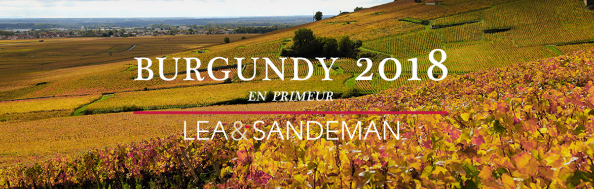 2018 Burgundy En Primeur Tasting