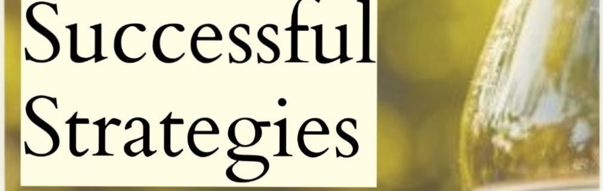 Successful Strategies by Andrea Stolowitz