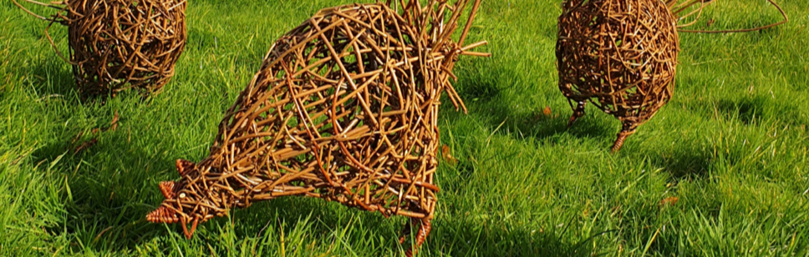Weave Your Own Willow Chicken! Workshop