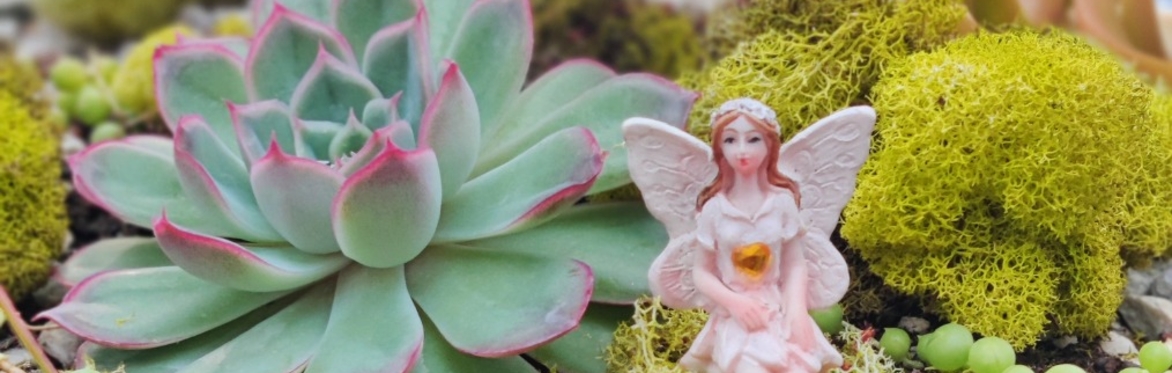 Fairy Garden
