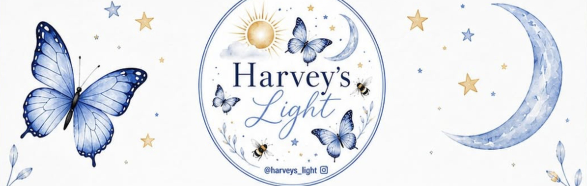 PAINT AND SIP FUNDRAISER - HARVEY'S LIGHT