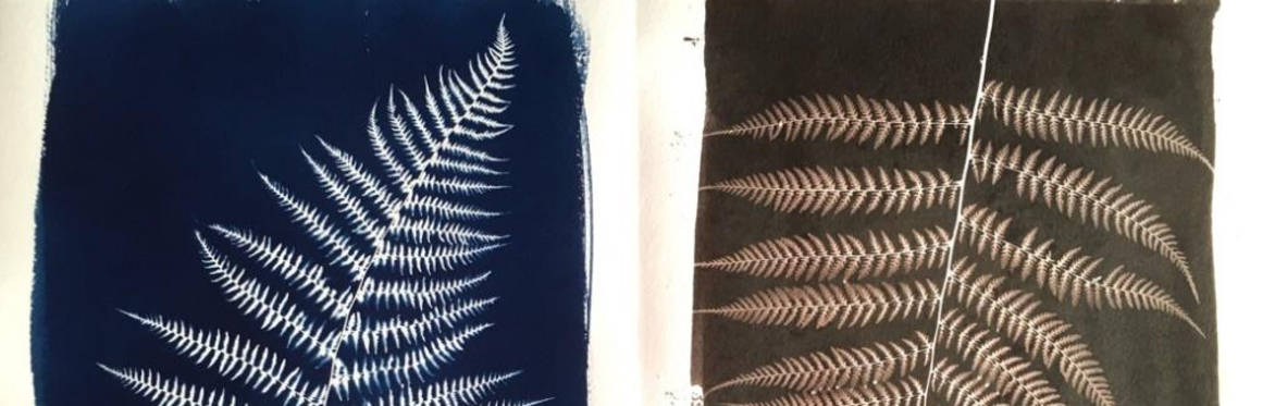 Kiln Photo Alternative Photographic Processes Workshops