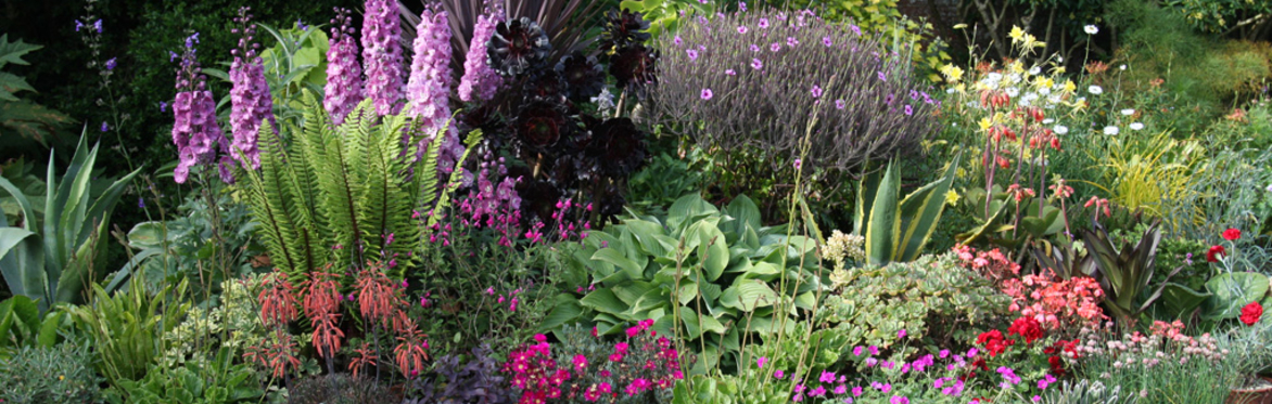 The Art and Craft of Gardening at Great Dixter- Fully booked