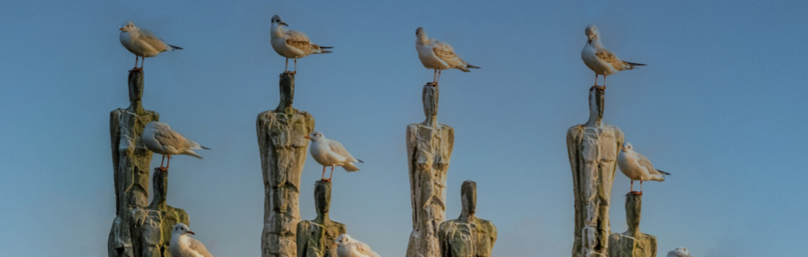 Family Constellations: A Four-Month Journey (September–December 2026)