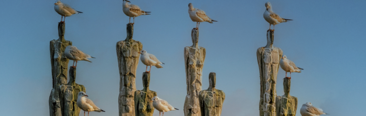 Personal Issue and Family Constellations Workshop with Sara Poss
