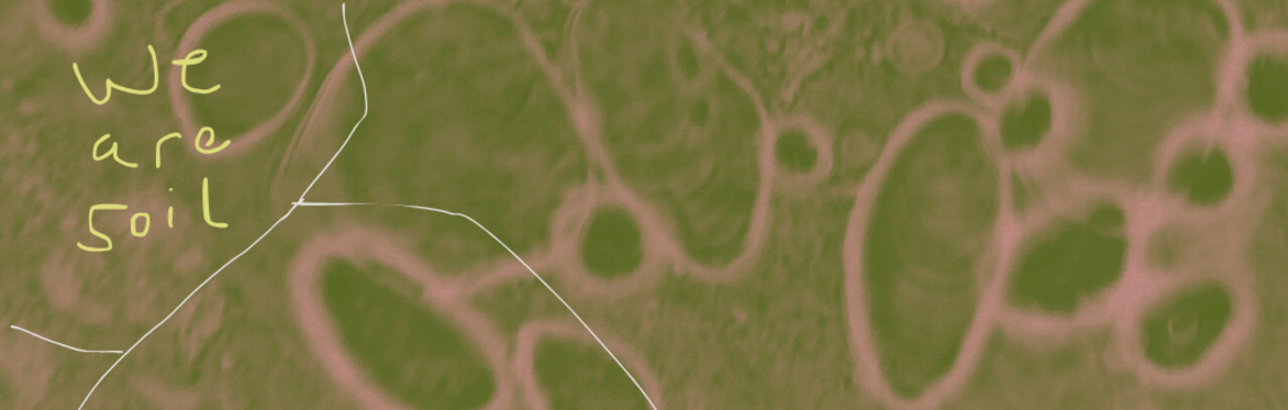 graphics using microscope images of yeast, coloured green with hexagonal lines drawn on top. Handwritten text reads "we are soil"