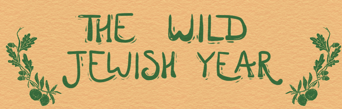 The Wild Jewish Year 2025-6