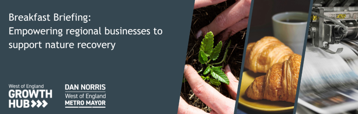 Breakfast Briefing: Empowering regional businesses to support nature recovery