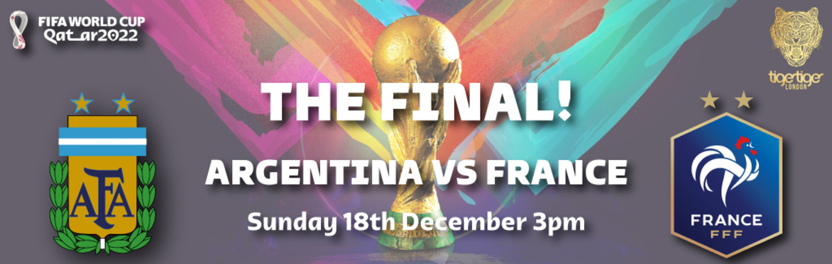 World Cup Qatar 2022 - THE FINAL