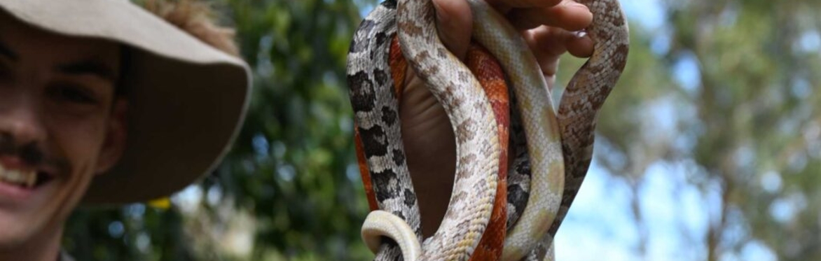 Exotic Reptile Experience