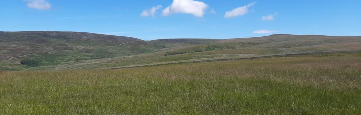 Brock Valley Ramble