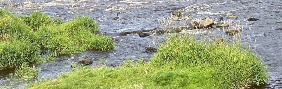 Exploring ‘Wicked Sustainability Problems’ at Sussex 2/4 - Water with Lyla Mehta & Joseph Alcamo