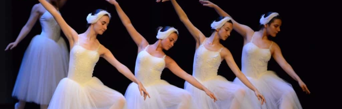 Gala Ballet a favor de la Fundación Síndrome de Down País Vasco