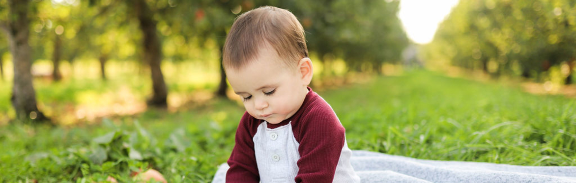 Apple Orchard Photography Sessions