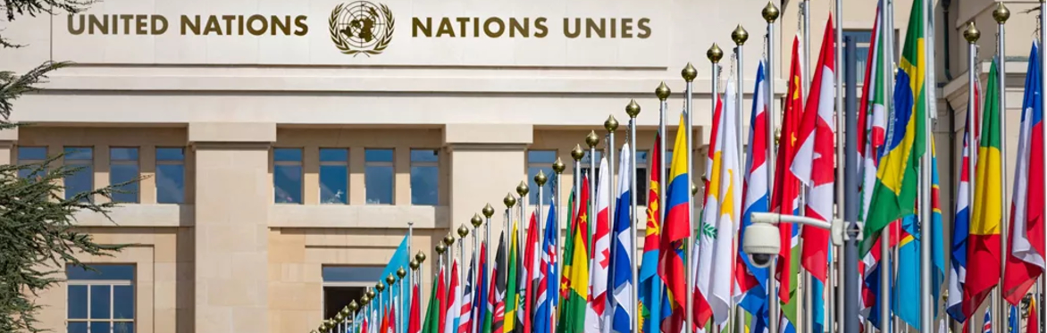 UNGA79 High-level Discussion on Advancing Universal Primary Education Amid Climate Change, Poverty, and Conflict