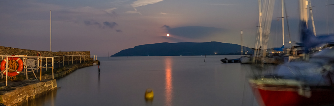 Moonlight Harbour Swim
