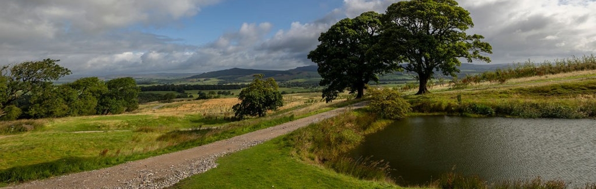 Walk on the wild side with Professor Alastair Driver - Free Community Event
