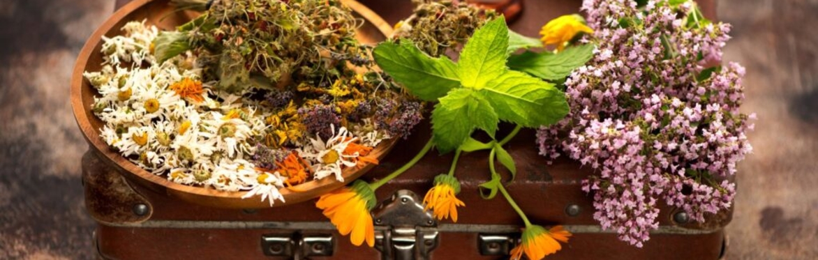 Image of Herbs