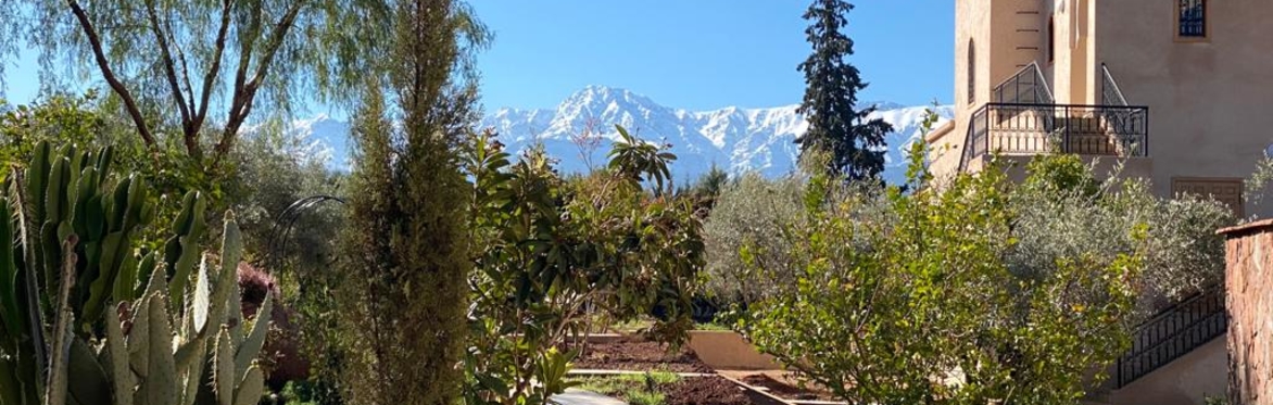 Yoga Retreat Morocco
