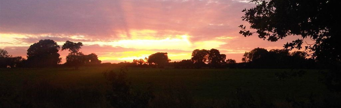 Sunset at Shallowford House
