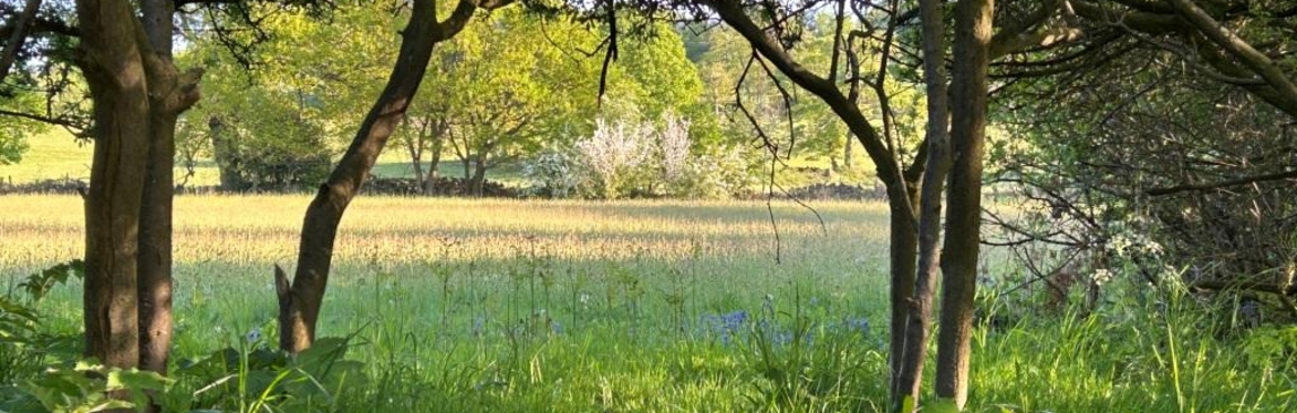 Volunteer Work Day: Carr House Meadows