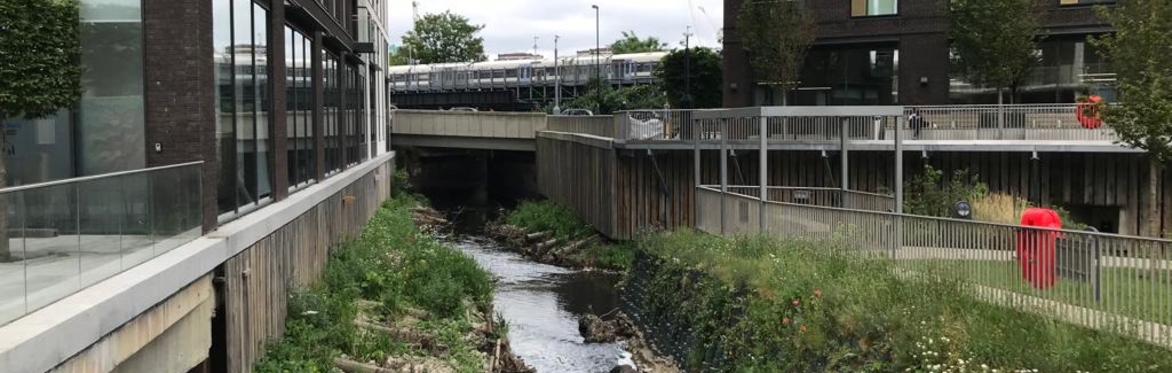 Place-making and the Rivers of Lewisham: Podcasts and Report Launch