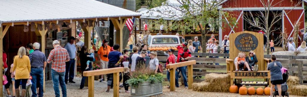 Bennett Farms Pumpkin Patch