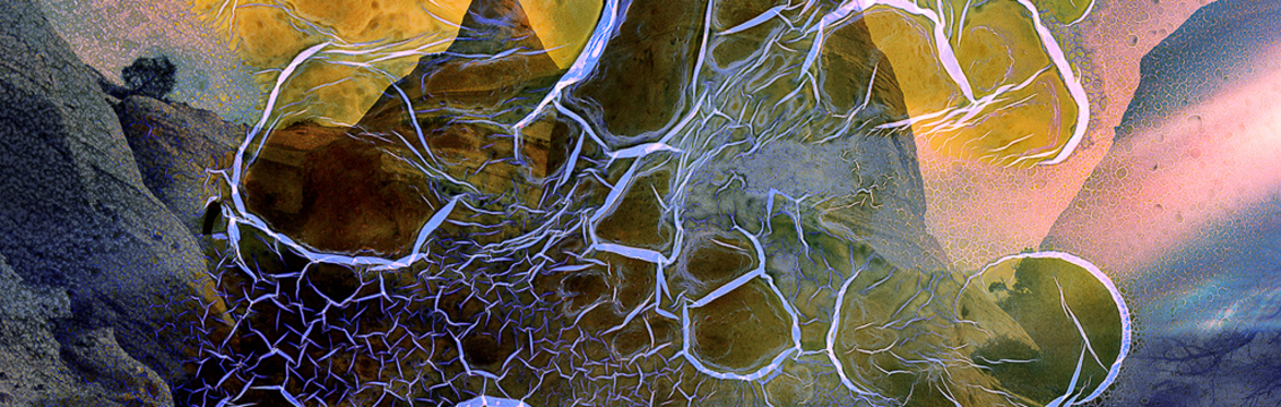 T55. Wild Emulsion: Film Soup & Colour Mordançage with Ella Morton