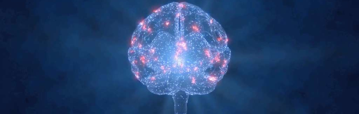 The Neurospirituality Symposium