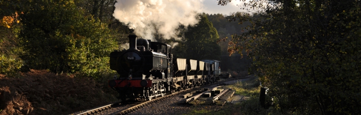 9681 on pick up goods at the Dean Forest railway