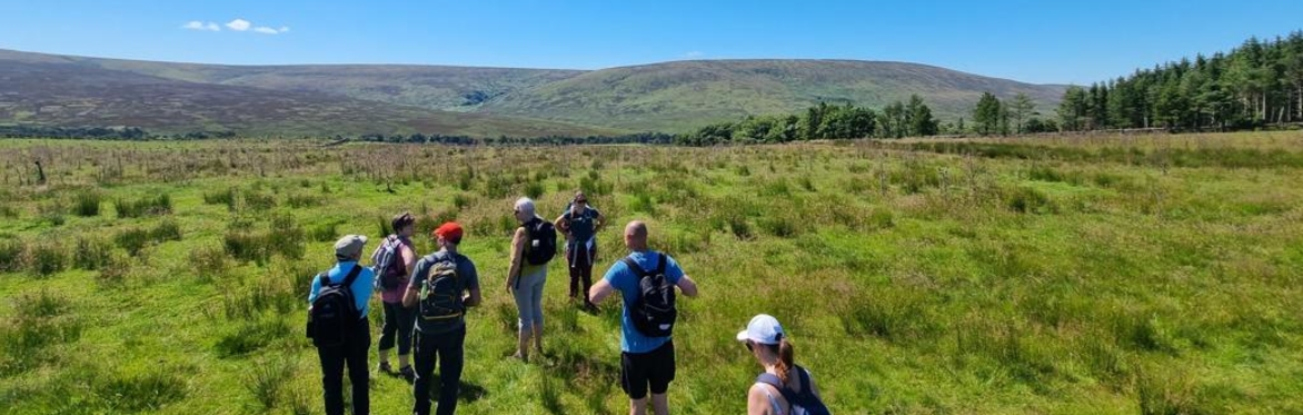 Abbeystead Summer Walk