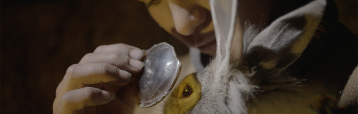 Empire of the Rabbits + Live Q&A with Director Seyfettin Tokmak