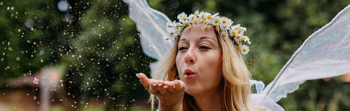 Fairy Holiday School: Fairy Dandelion's Wishing School 💛💫