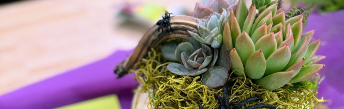 Halloween Pumpkin Centerpiece