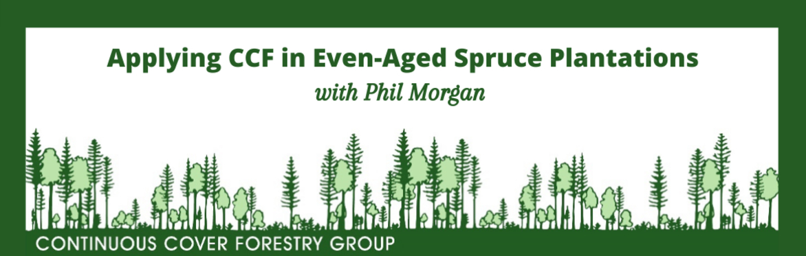 Applying CCF in Even-aged Spruce Plantations - Webinar with Phil Morgan (Sustainable Forest Management and SelectFor)