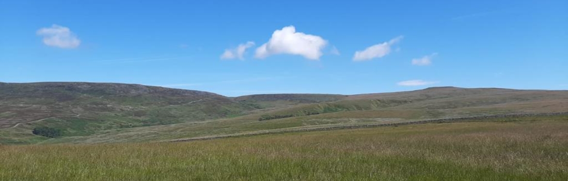 Abbeystead Summer Walk