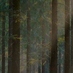 God & the Great Outdoors 2026