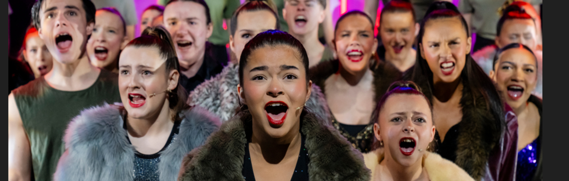 Performing Arts Experience Day