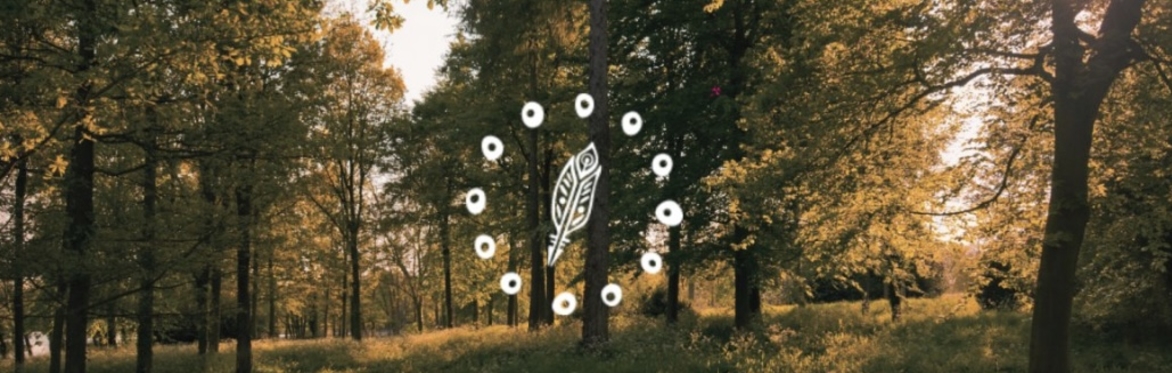 Feather Stone: Practice for Wellbeing
