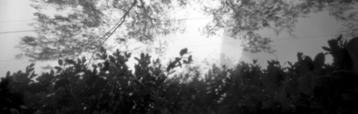 Magic Boxes & Living Relics: a pinhole camera workshop with riel bellow and FIELDNOTES