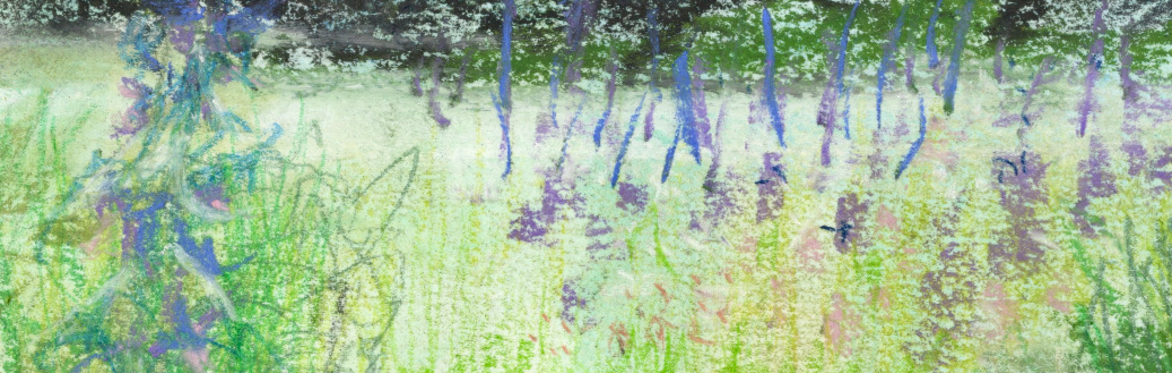Greener Gardens: Planting for Wildlife